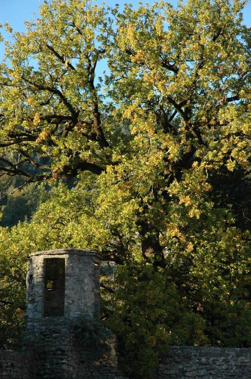 Agriturismo Casteldelpiano Licciana Nardi Luaran gambar